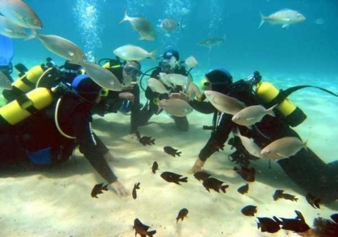 Aguilas Delicias Piscina Wifi Ac Parking Gratis Esterno foto
