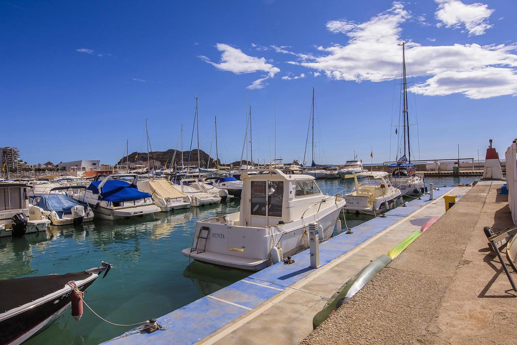 Aguilas Delicias Piscina Wifi Ac Parking Gratis Esterno foto