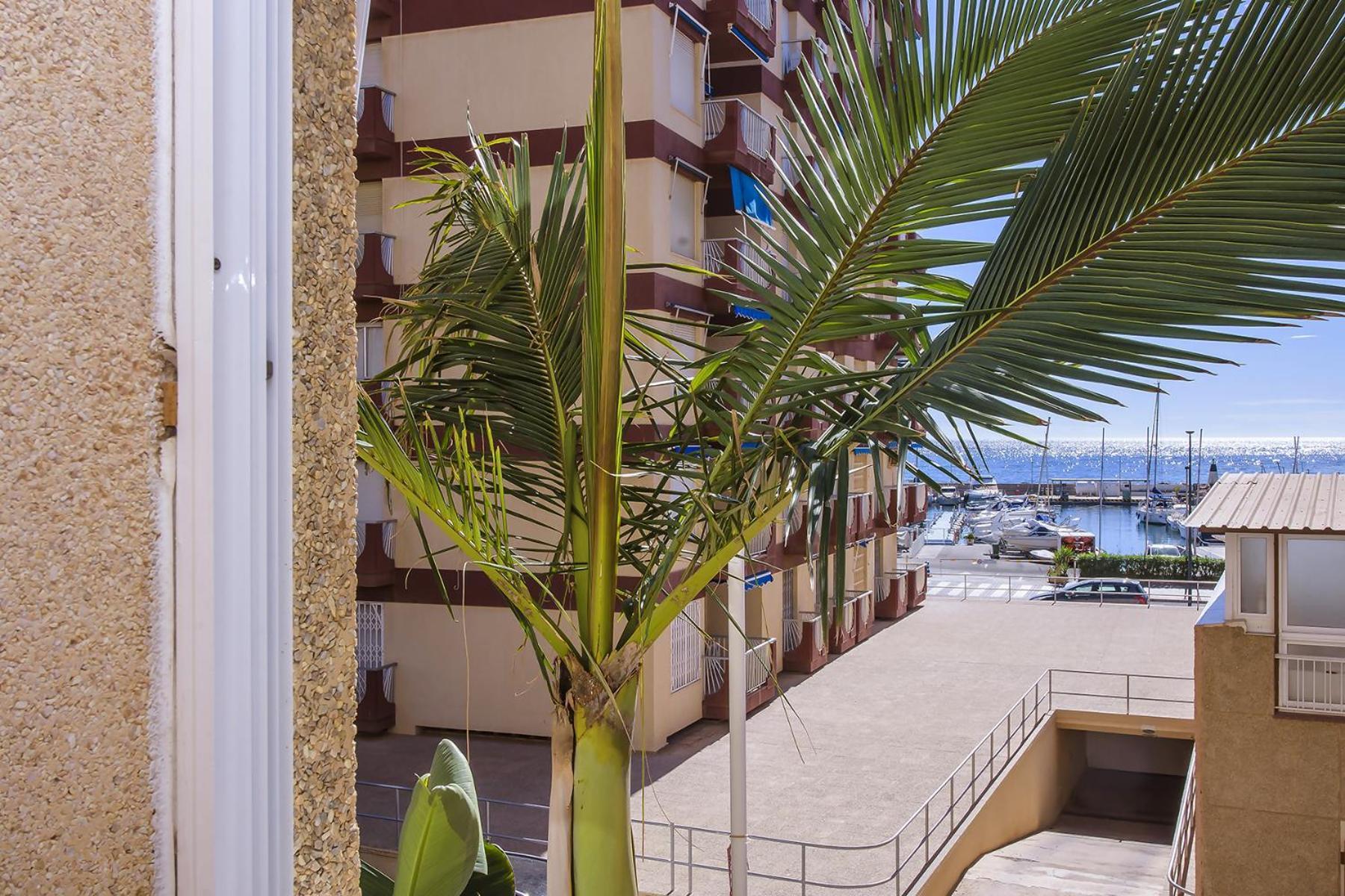 Aguilas Delicias Piscina Wifi Ac Parking Gratis Esterno foto